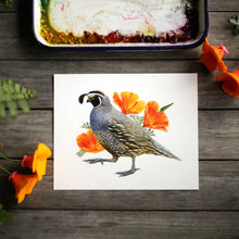 Poppy and Quail 8x10 Print