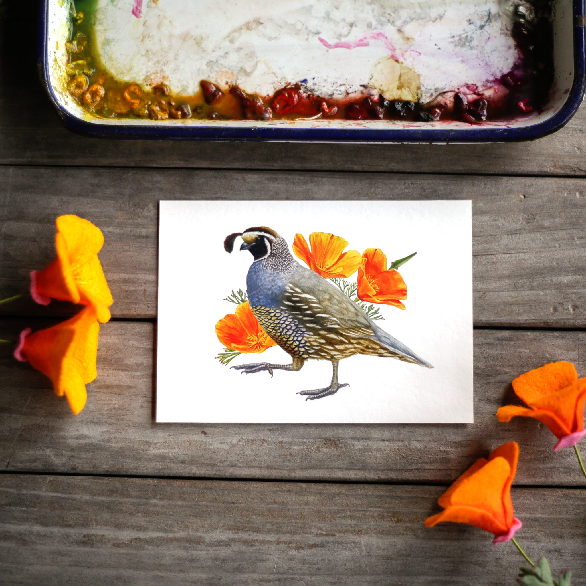 Poppy and Quail 5x7 Print - California State Symbols