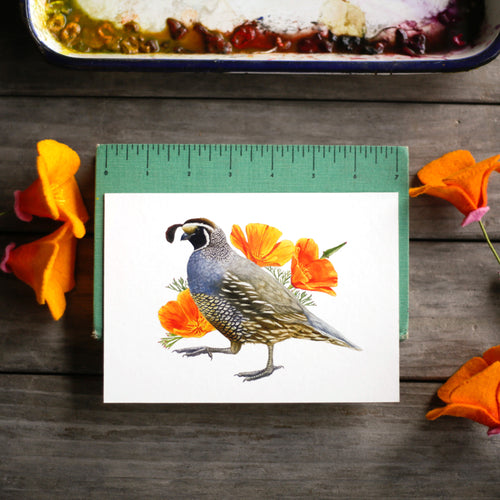 Load image 1 in gallery view. Poppy and Quail 5x7 Print - California State Symbols