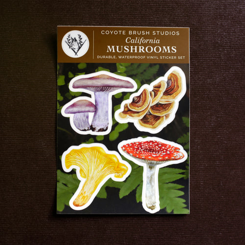 Load image 1 in gallery view. California Mushrooms Sticker Sheet