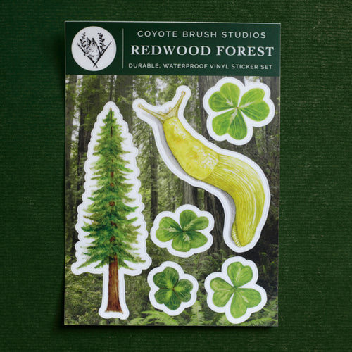 Load image 1 in gallery view. Redwoods Sticker Sheet