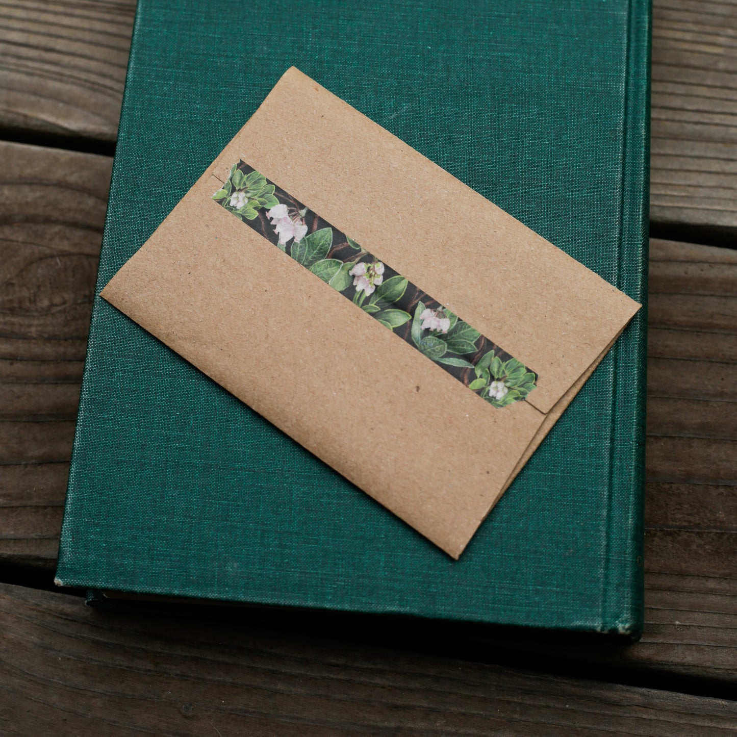 Manzanita washi tape sealing a brown envelope. 