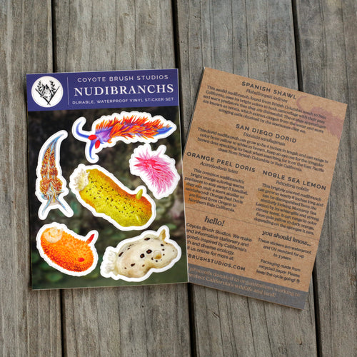 Load image 1 in gallery view. Nudibranchs Sticker Sheet