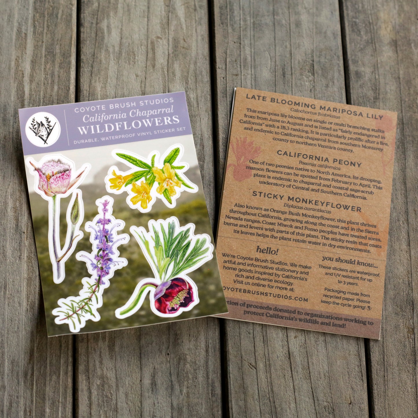Chaparral Wildflowers Sticker Sheet