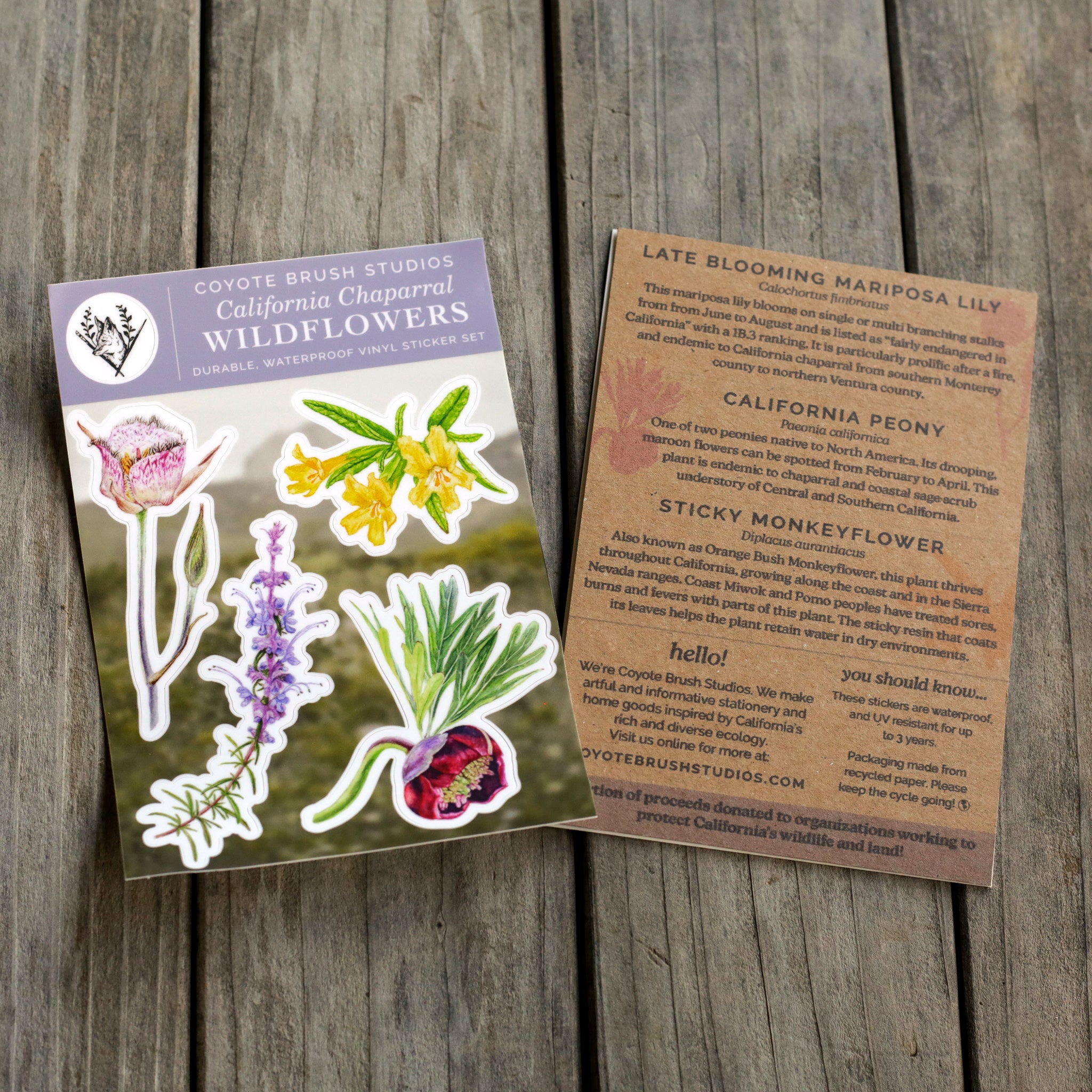 Chaparral Wildflowers Sticker Sheet