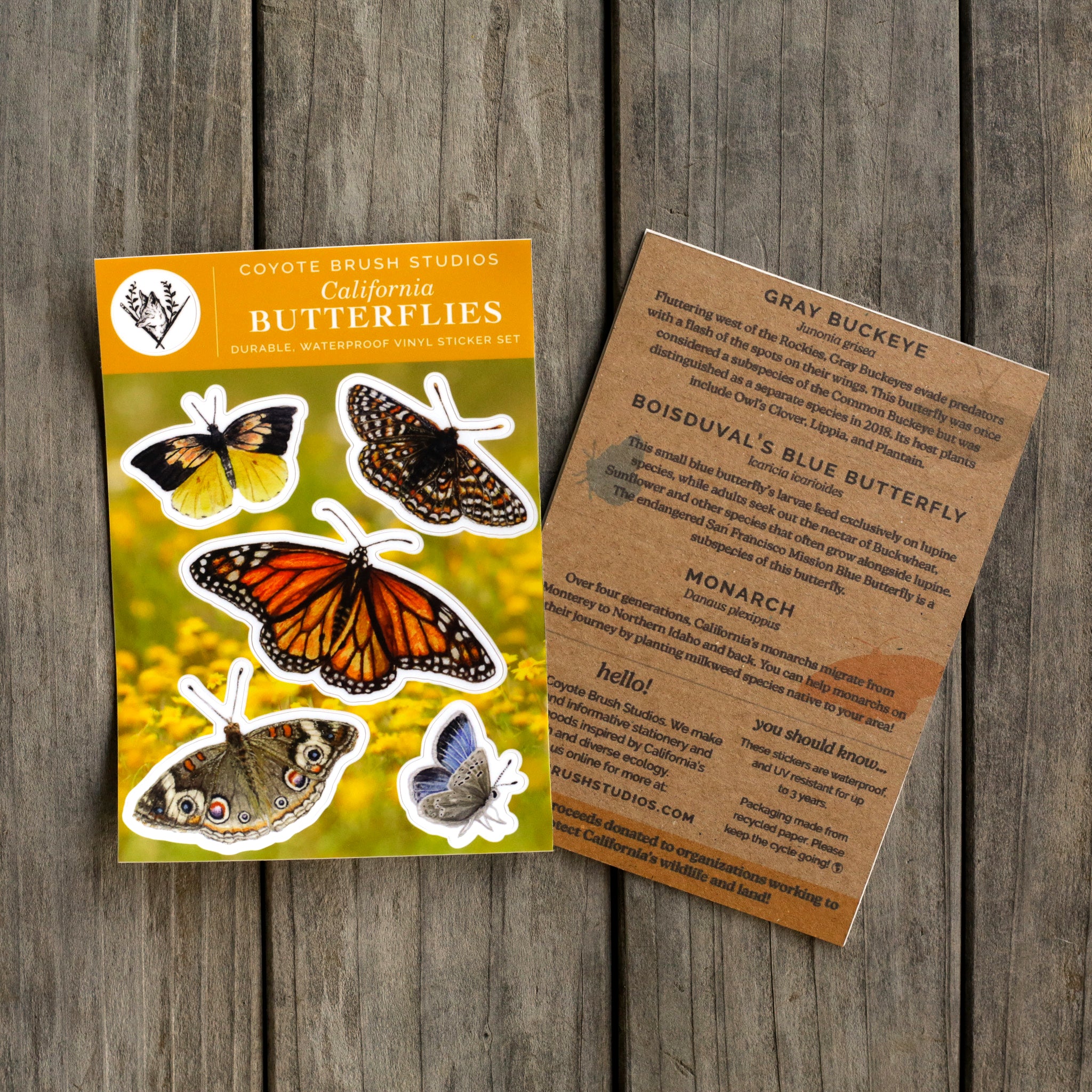 Butterflies of California Sticker Sheet