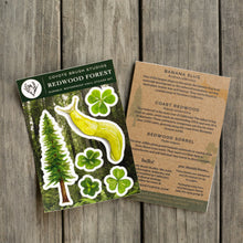 Redwoods Sticker Sheet