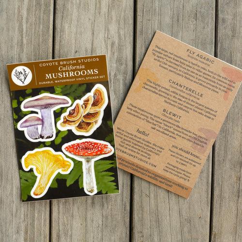 Load image 1 in gallery view. California Mushrooms Sticker Sheet