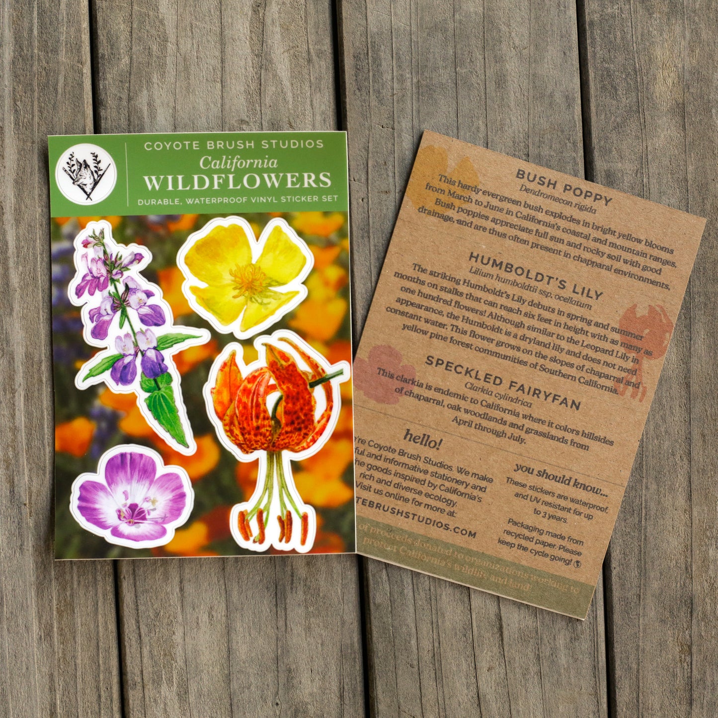 California Wildflowers Sticker Sheet