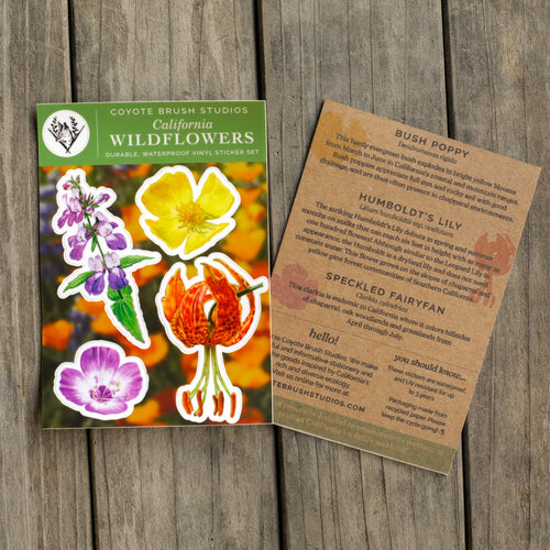 Load image 1 in gallery view. California Wildflowers Sticker Sheet