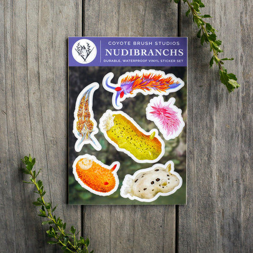 Load image 1 in gallery view. Nudibranchs Sticker Sheet