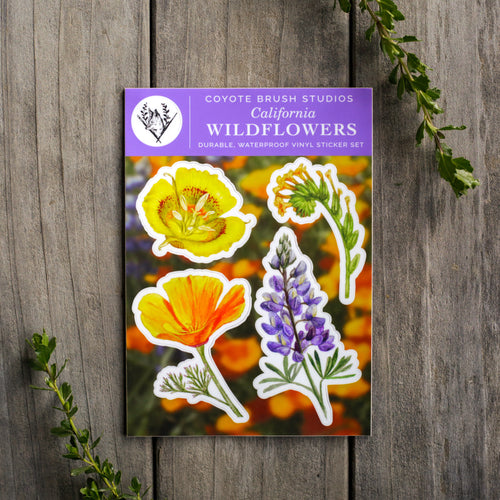Load image 1 in gallery view. Wildflowers of California Sticker Sheet