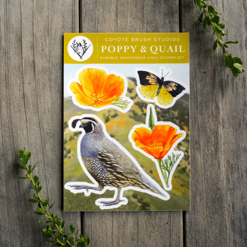 Load image 1 in gallery view. Poppy & Quail Sticker Sheet