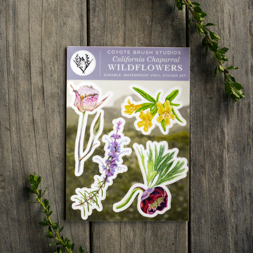 Load image 1 in gallery view. Chaparral Wildflowers Sticker Sheet