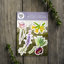 Chaparral Wildflowers Sticker Sheet