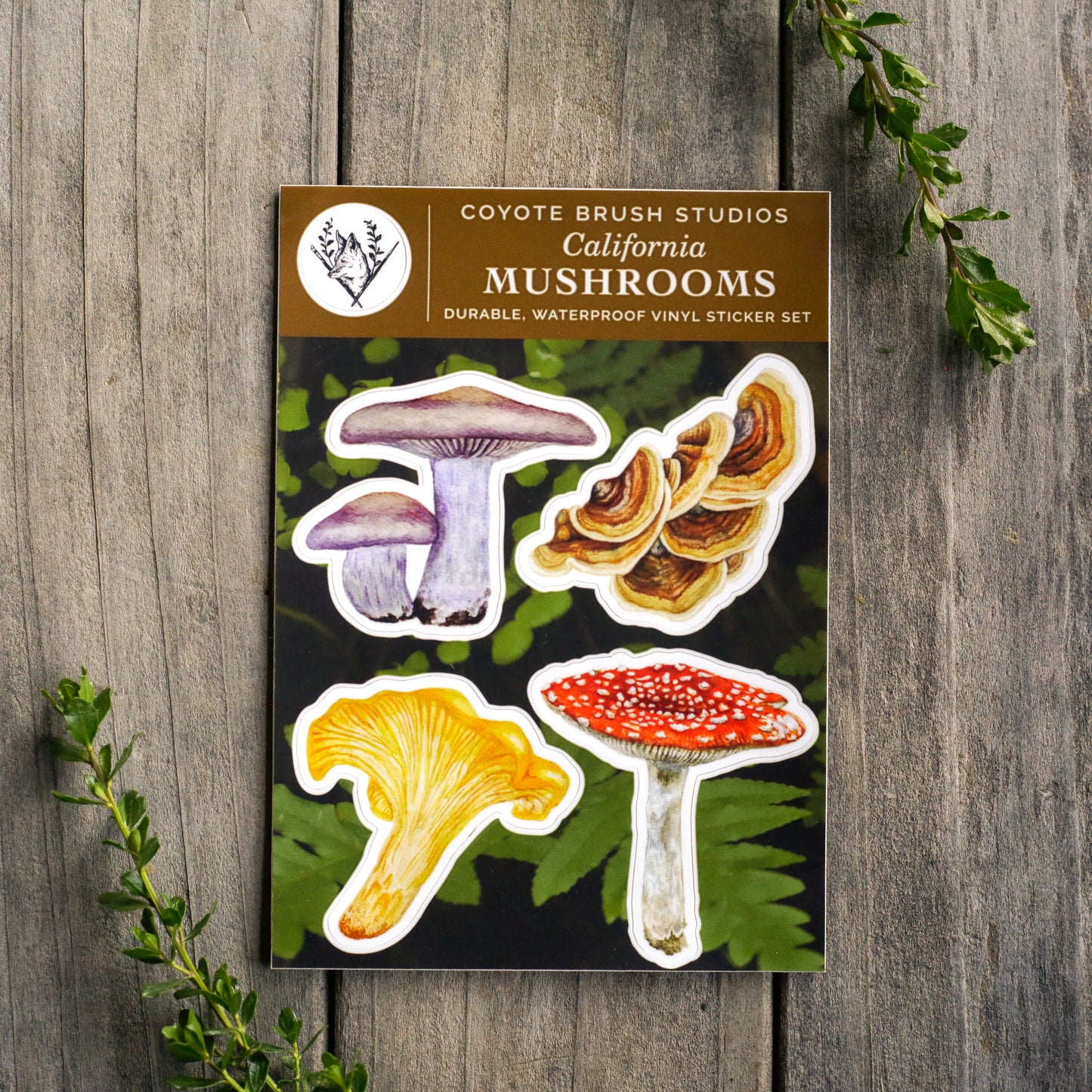 California Mushrooms Sticker Sheet