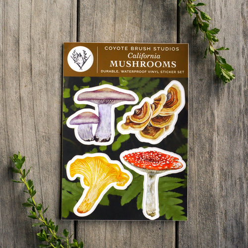 Load image 1 in gallery view. California Mushrooms Sticker Sheet