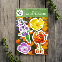 California Wildflowers Sticker Sheet