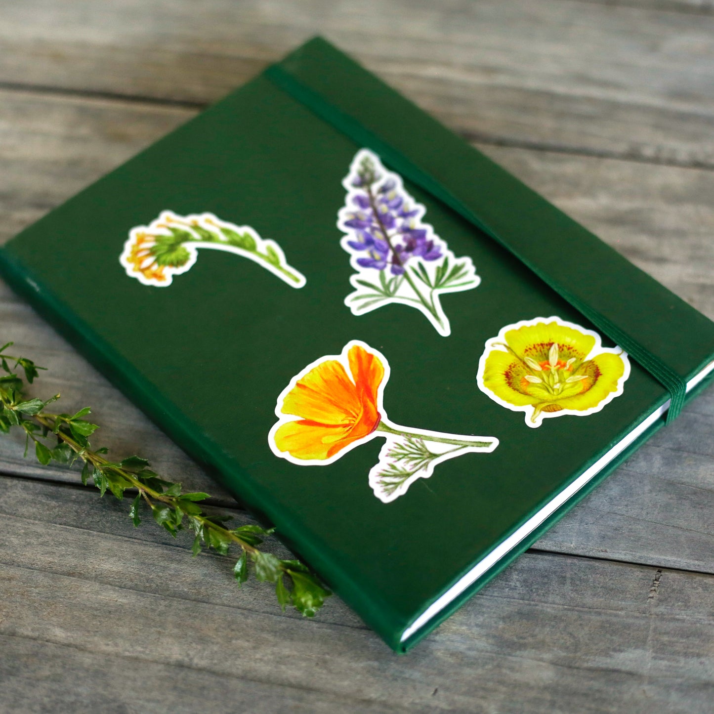 Wildflowers of California Sticker Sheet