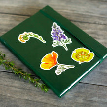 Wildflowers of California Sticker Sheet