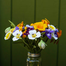 Smokey Mariposa Lily - Calochortus leichtlinii - fiber sculpture, fabric flower