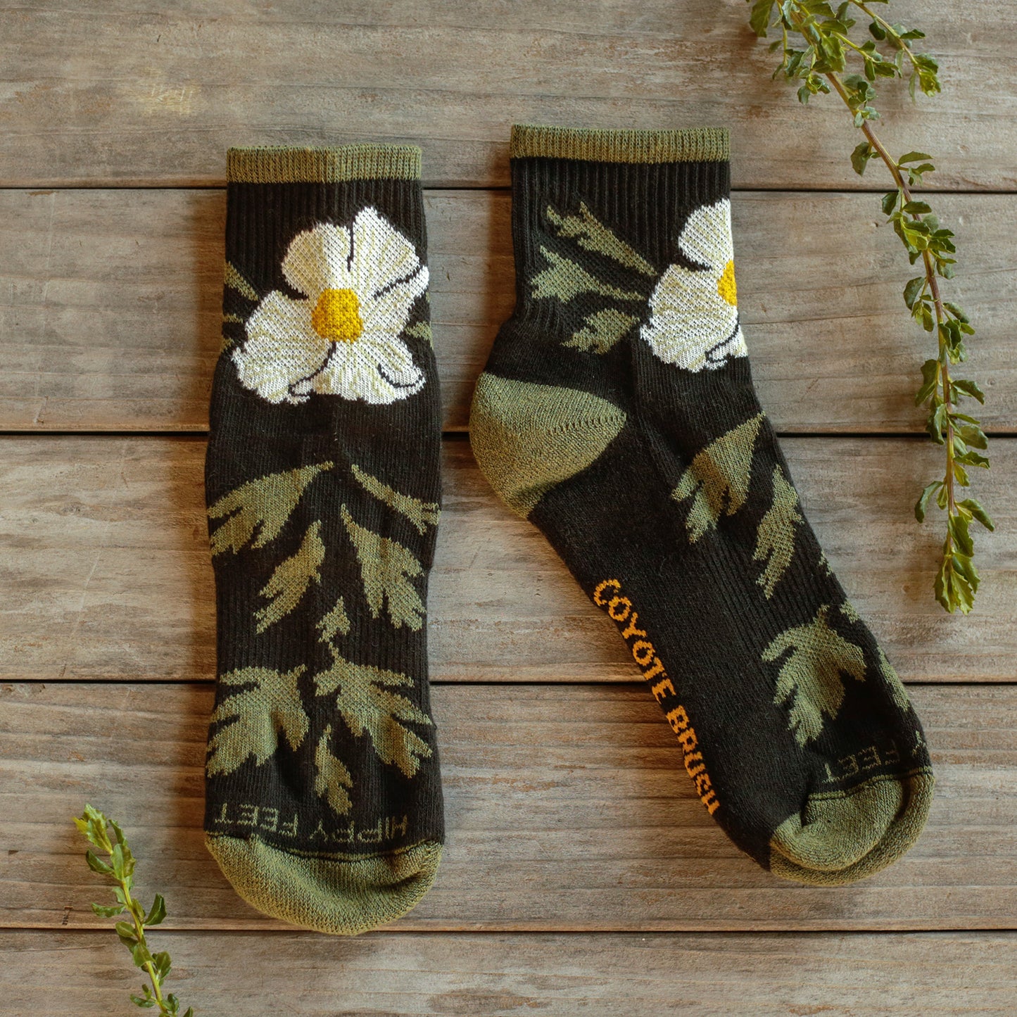 Matilija Poppy Socks