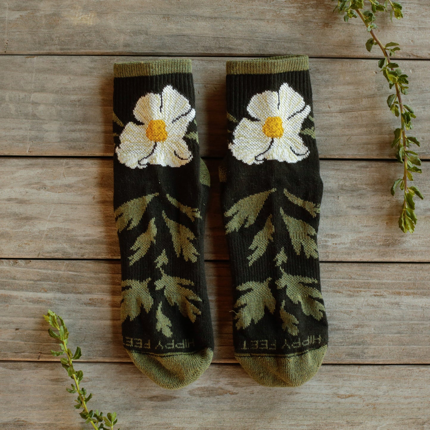 Matilija Poppy Socks