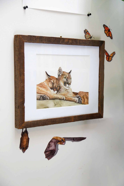 Load image 1 in gallery view. Zoomed out image showing size of bats under and 8x10 picture frame