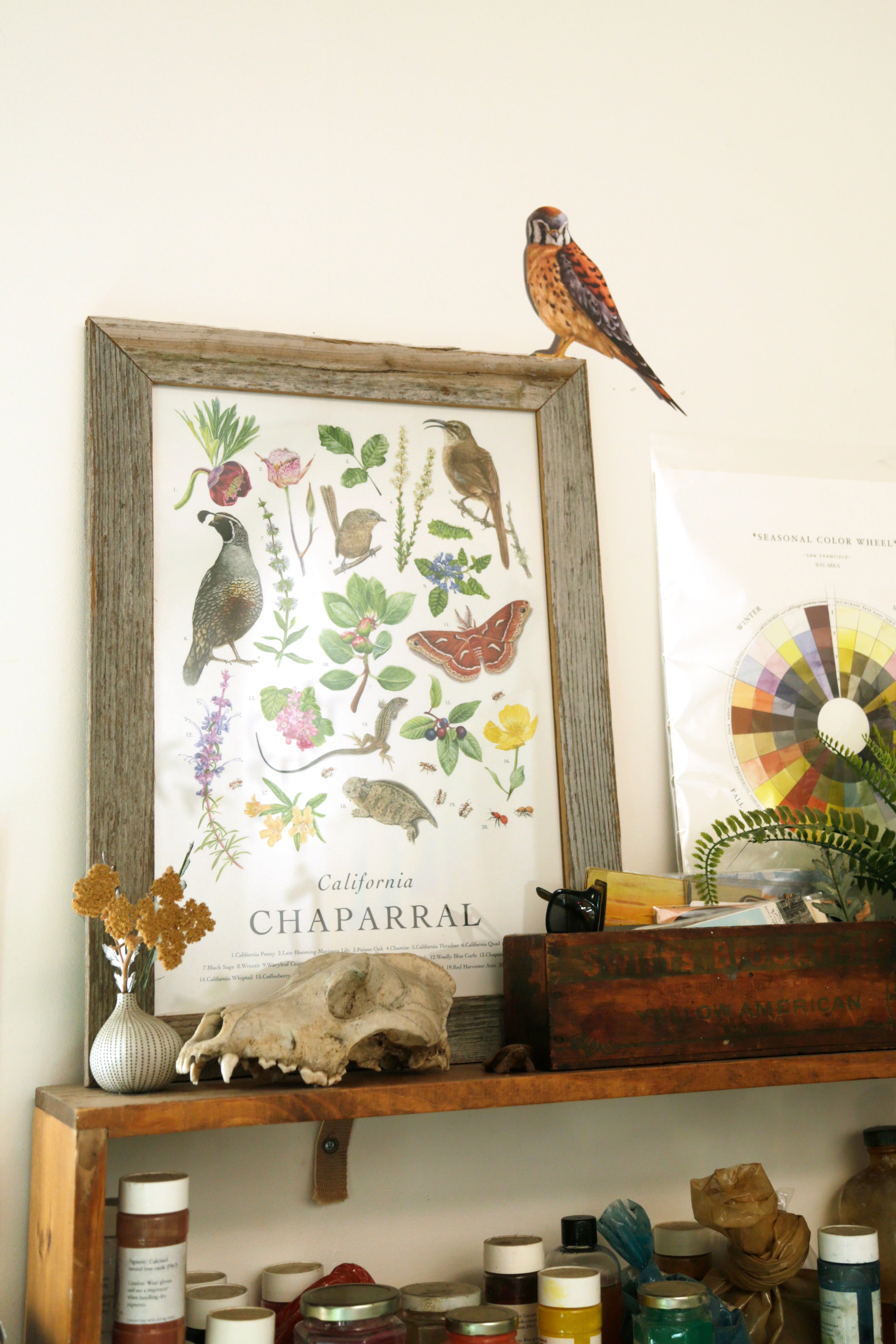 Zoomed out image showing life size scale of wall decal.