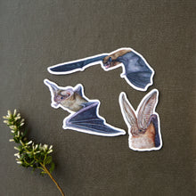 California Bats: Three Vinyl Stickers