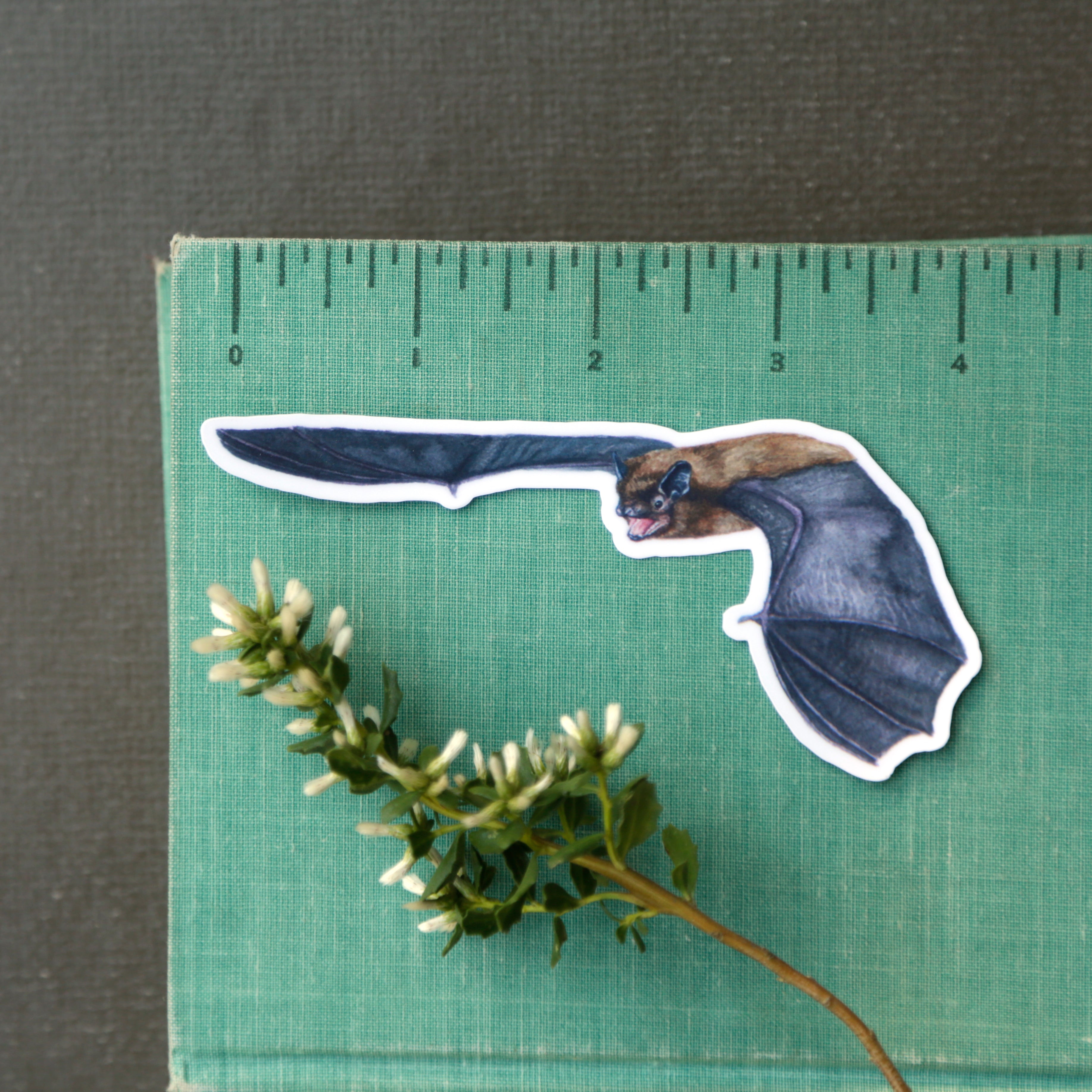 California Bats Vinyl Stickers: Townsend's, Pallid, Big Brown