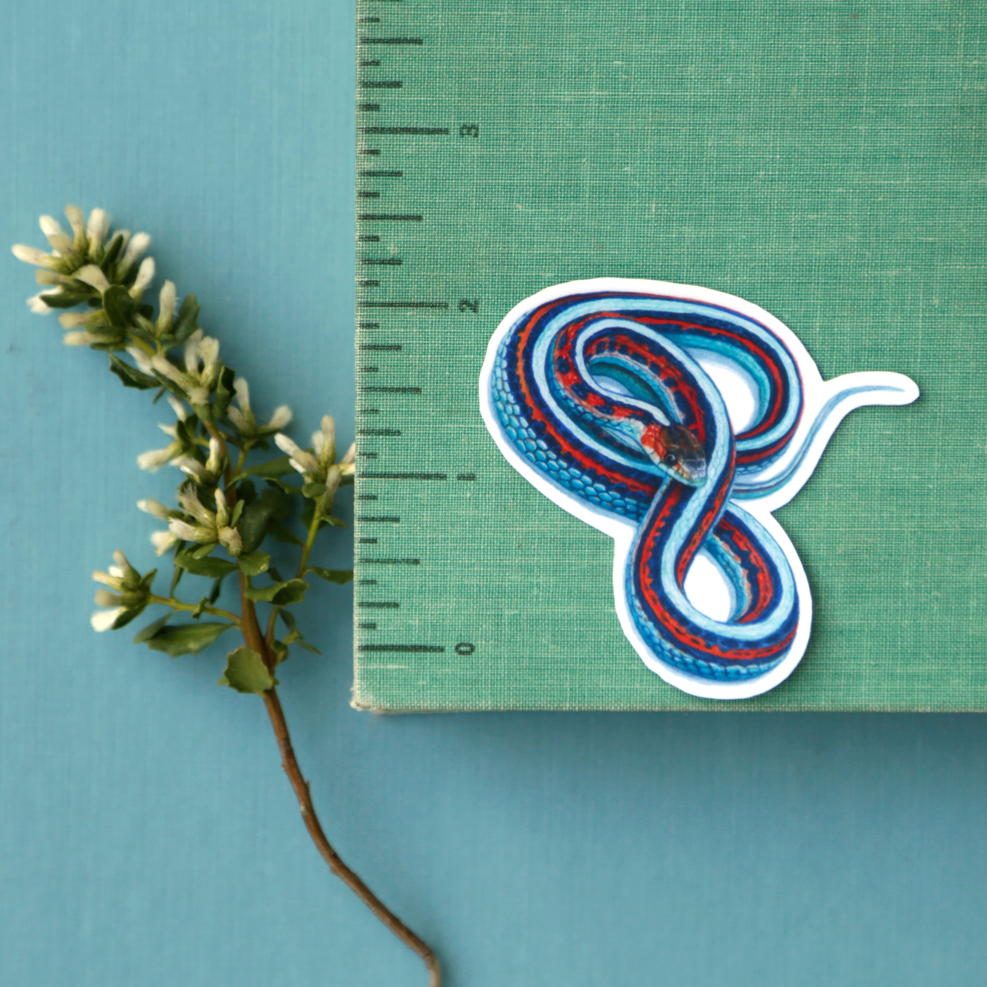 Endangered Bay Area Vinyl Stickers: SF Garter Snake, Salt Marsh Harvest Mouse, Clapper Rail