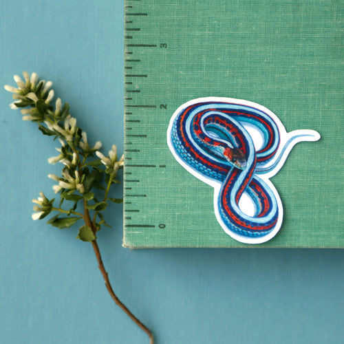 Load image 1 in gallery view. Endangered Bay Area Vinyl Stickers: SF Garter Snake, Salt Marsh Harvest Mouse, Clapper Rail