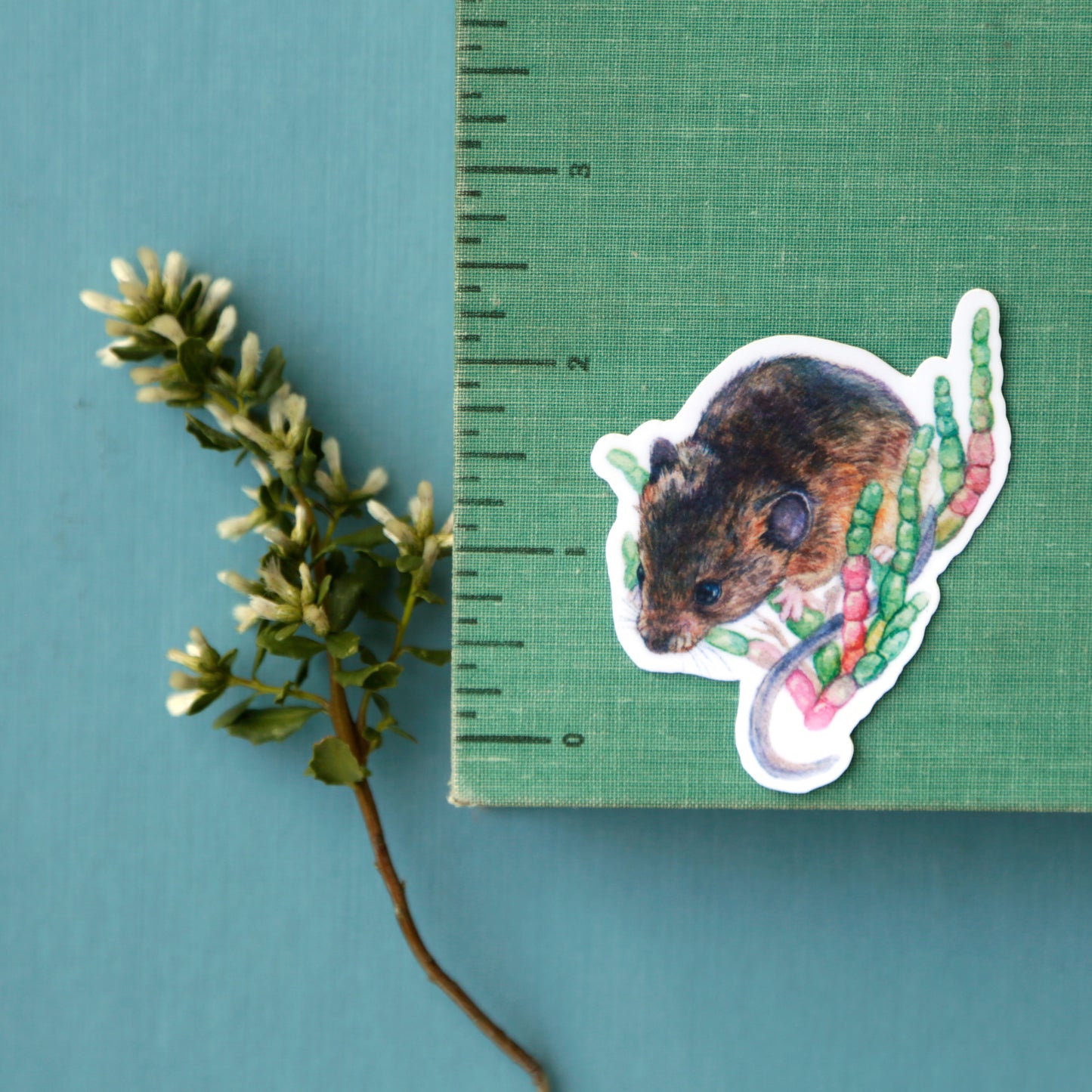 Endangered Bay Area Vinyl Stickers: SF Garter Snake, Salt Marsh Harvest Mouse, Clapper Rail