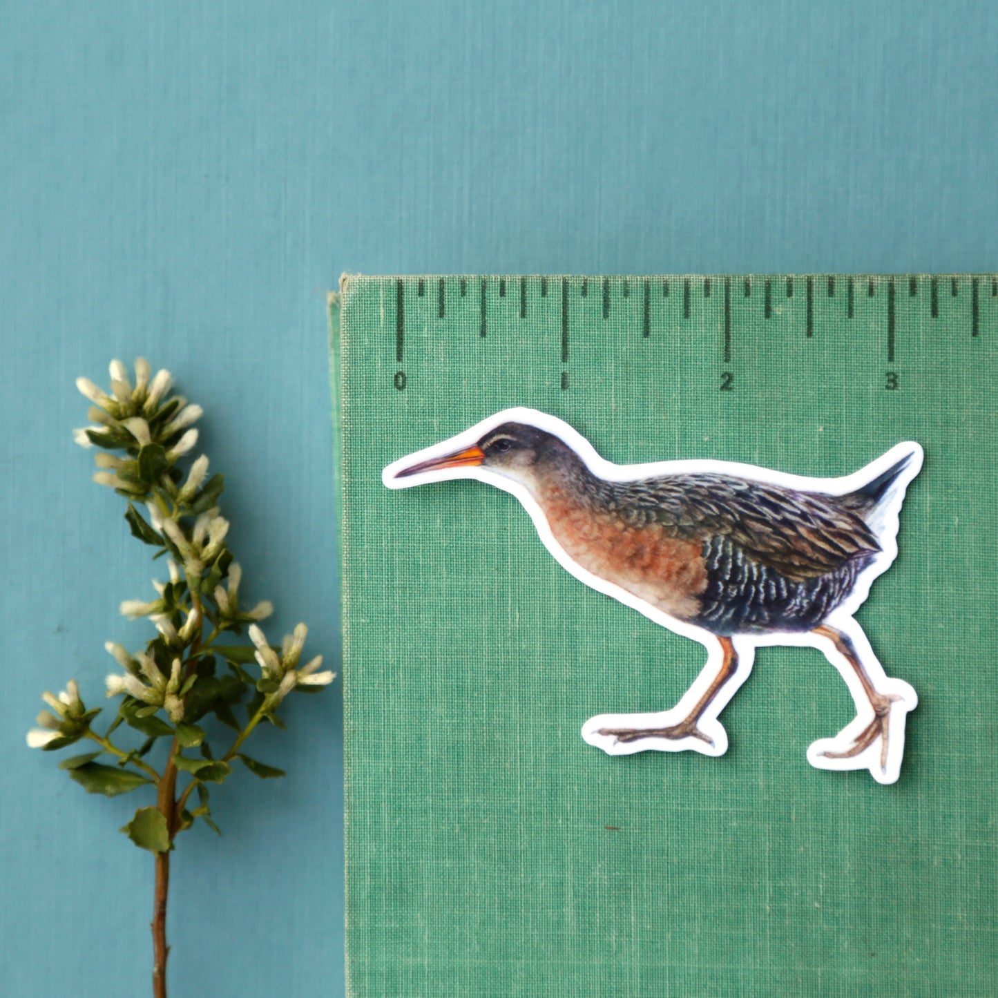 Endangered Bay Area Vinyl Stickers: SF Garter Snake, Salt Marsh Harvest Mouse, Clapper Rail