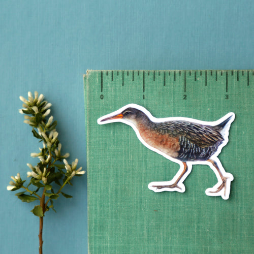 Load image 1 in gallery view. Endangered Bay Area Vinyl Stickers: SF Garter Snake, Salt Marsh Harvest Mouse, Clapper Rail