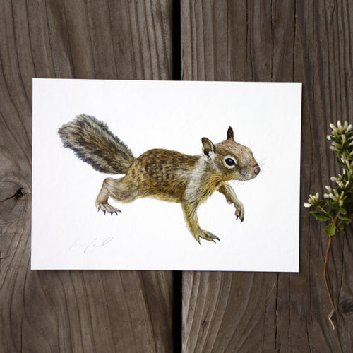 Load image 1 in gallery view. California Ground Squirrel 5x7 Watercolor Print