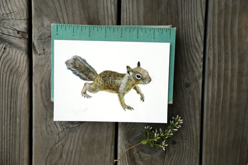 Load image 1 in gallery view. California Ground Squirrel 5x7 Watercolor Print