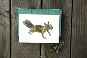 California Ground Squirrel 5x7 Watercolor Print