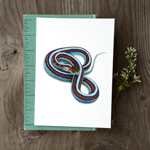 Load image 1 in gallery view. San Francisco Garter Snake 5x7 Watercolor Print
