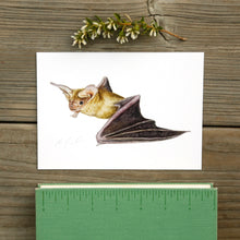 Pallid Bat 5x7 Watercolor Print