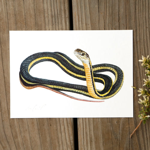 Load image 1 in gallery view. Alameda Whipsnake 5x7 Watercolor Print