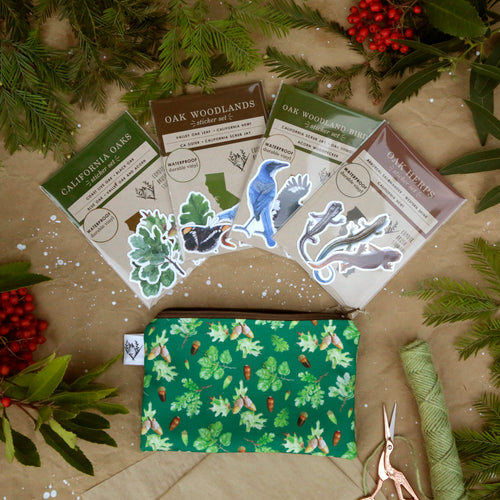 Load image 1 in gallery view. Oak Dweller Gift Set: Themed Gift Set including Stickers, Zipper Pouch