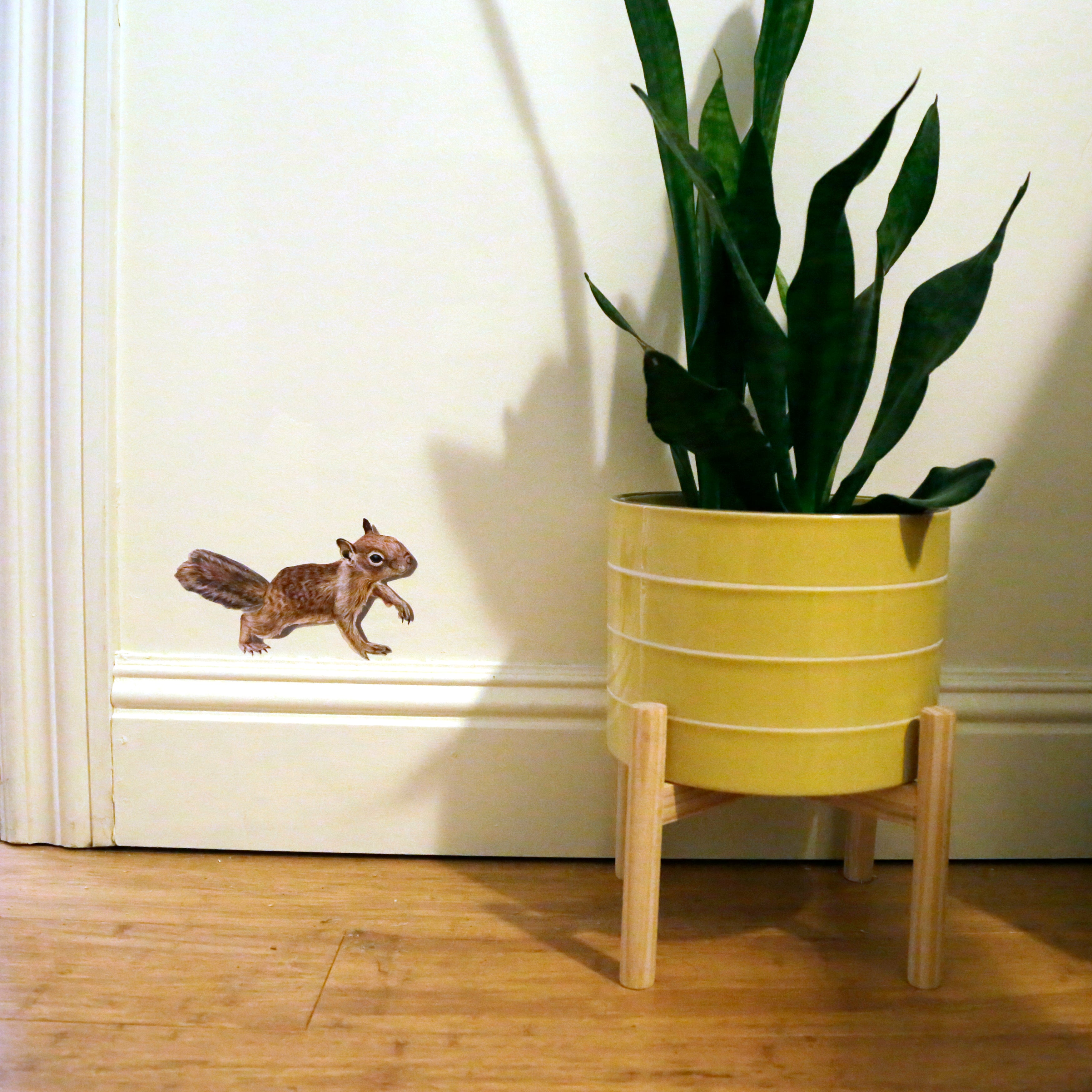 Zoomed out version showing ground squirrel next to potted plant. 