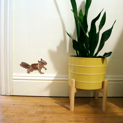 Load image 1 in gallery view. Zoomed out version showing ground squirrel next to potted plant. 