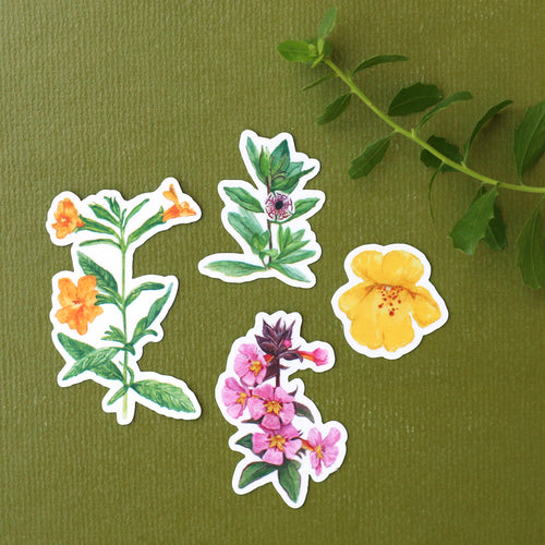 Load image 1 in gallery view. Monkeyflowers Vinyl Stickers: Sticky, Seep, Calico, and Bigelow's Monkeyflower