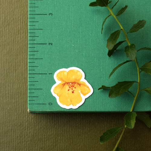 Load image 1 in gallery view. Monkeyflowers Vinyl Stickers: Sticky, Seep, Calico, and Bigelow's Monkeyflower