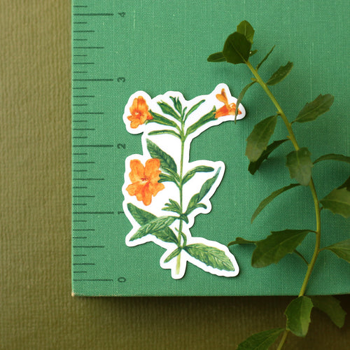 Load image 1 in gallery view. Monkeyflowers Vinyl Stickers: Sticky, Seep, Calico, and Bigelow's Monkeyflower