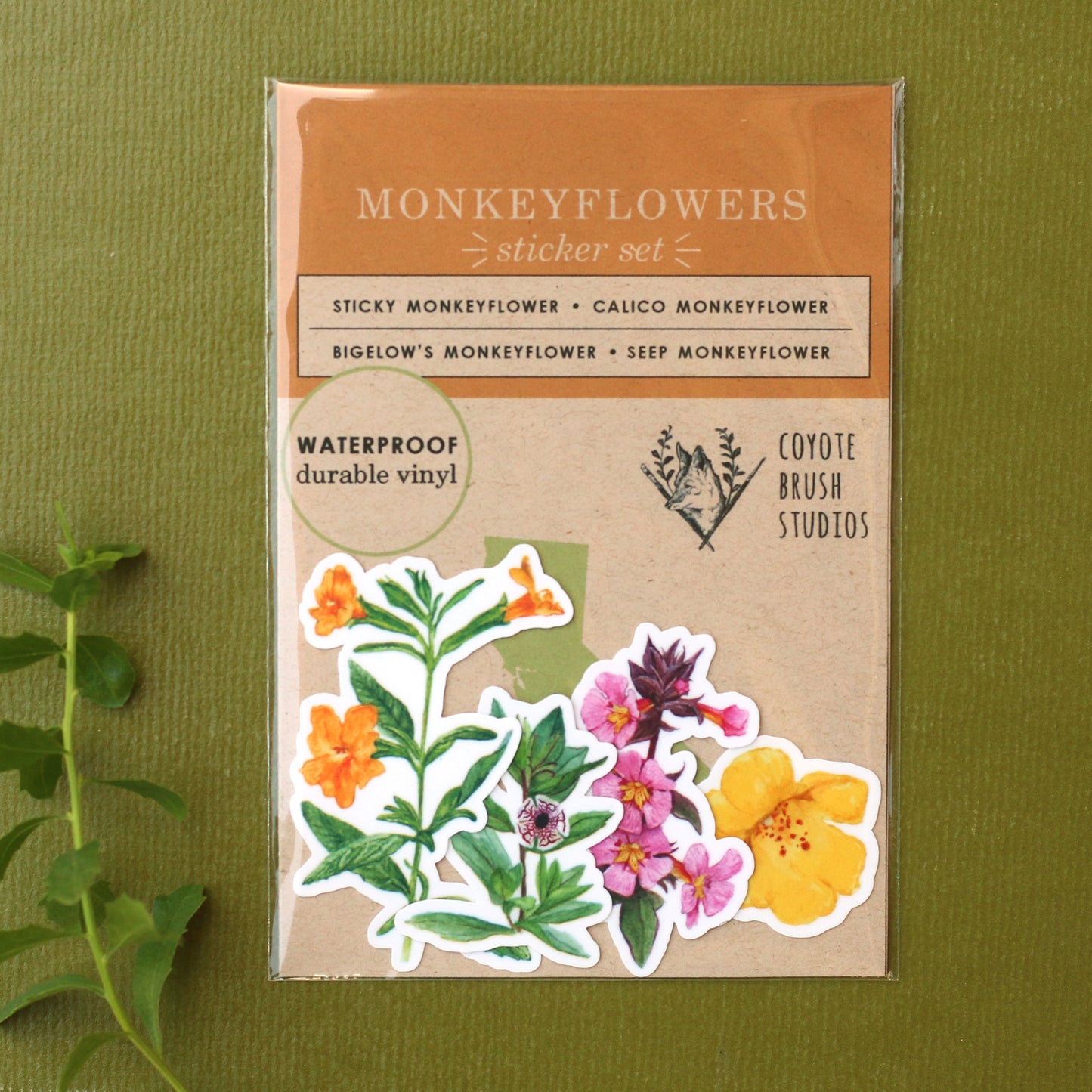 Monkeyflowers Vinyl Stickers: Sticky, Seep, Calico, and Bigelow's Monkeyflower