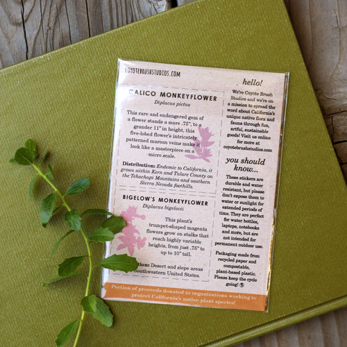 Load image 1 in gallery view. Monkeyflowers Vinyl Stickers: Sticky, Seep, Calico, and Bigelow's Monkeyflower